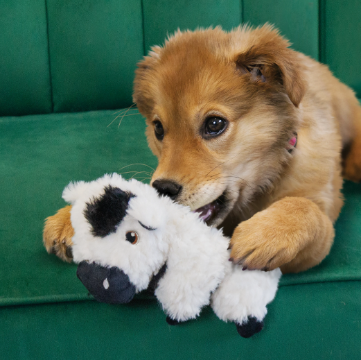 Kong Comfort Tykes - Cow