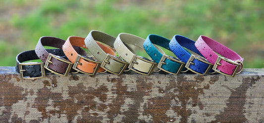 Waterproof BioThane© Dog Collar - Design Your Own