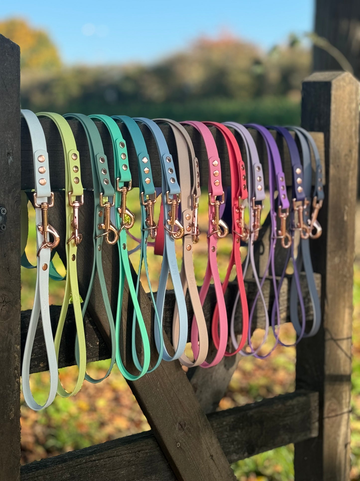 Waterproof BioThane© Dog Lead - Design Your Own