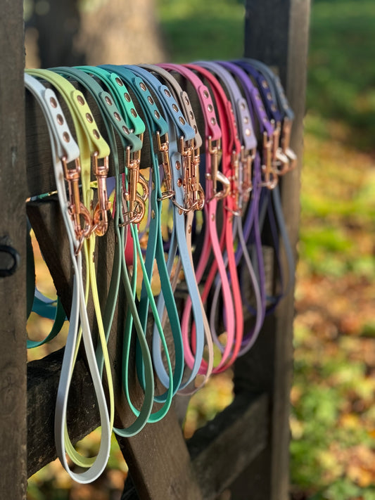 Waterproof BioThane© Dog Lead - Design Your Own