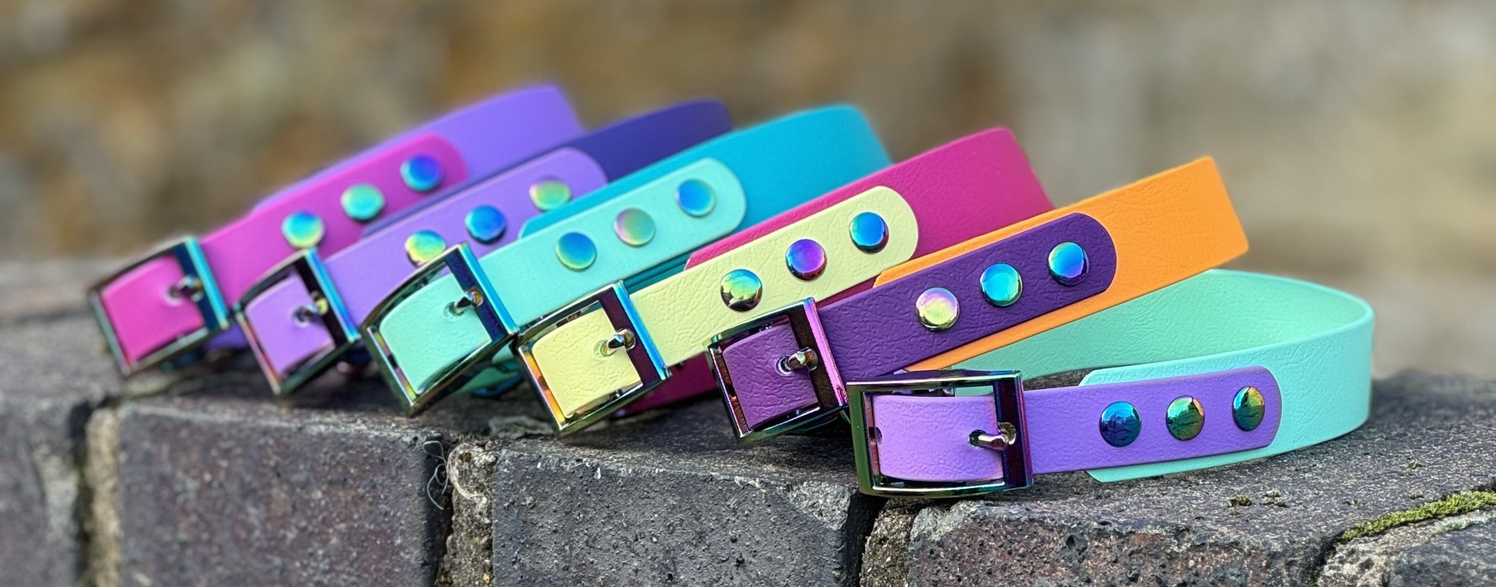 Colorful dog collars with metallic accents on a stone surface