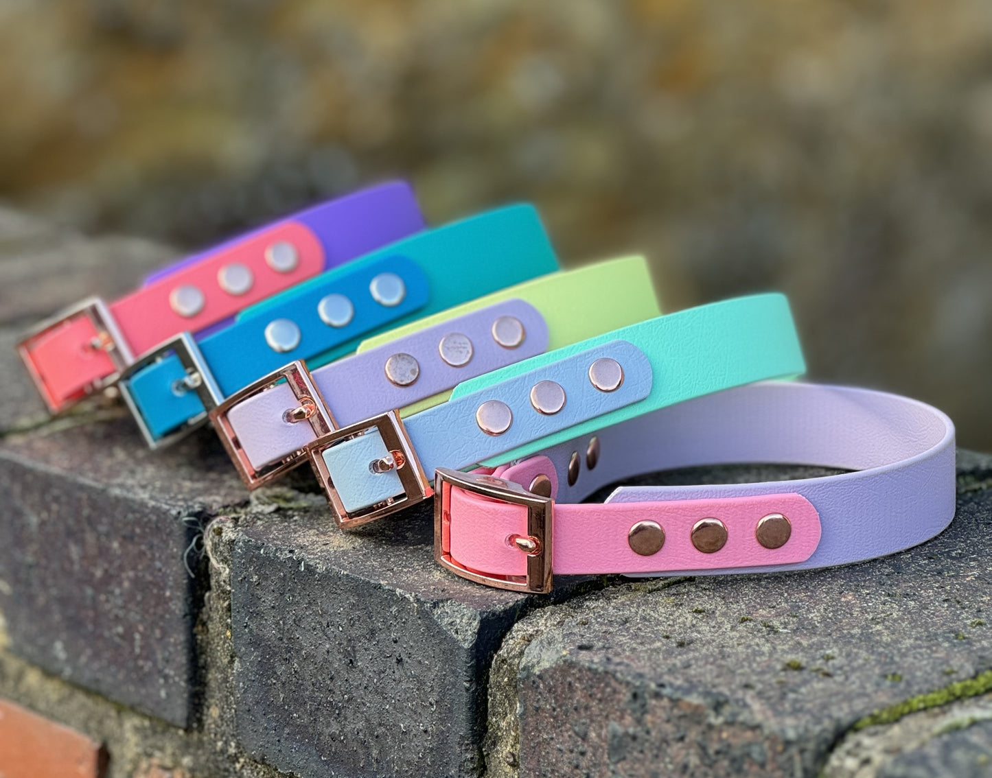 Waterproof BioThane© two-coloured Dog Collar - Design Your Own