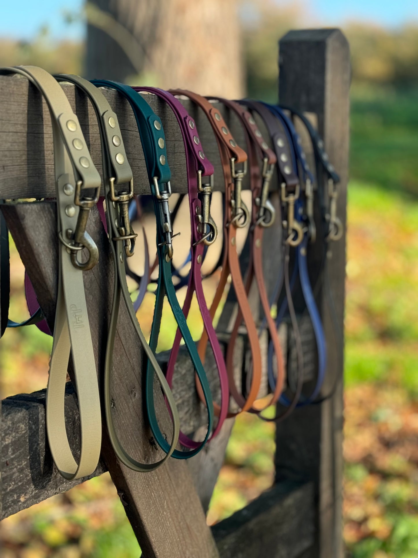 Waterproof BioThane© Dog Lead - Design Your Own