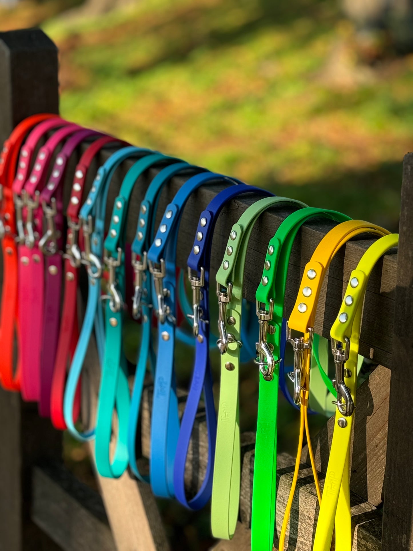 Waterproof BioThane© Dog Lead - Design Your Own