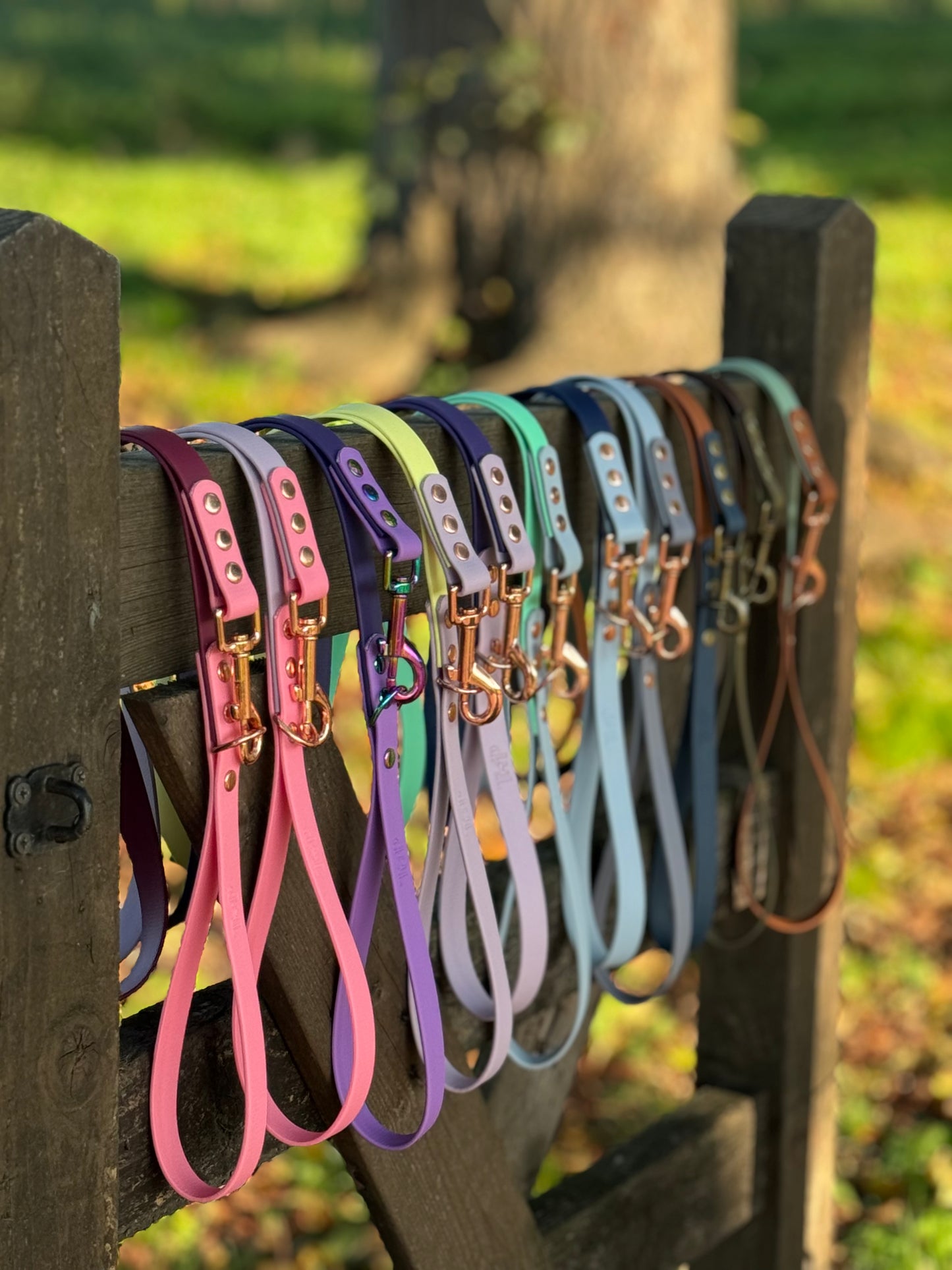 Mystery Waterproof BioThane© Dog Lead
