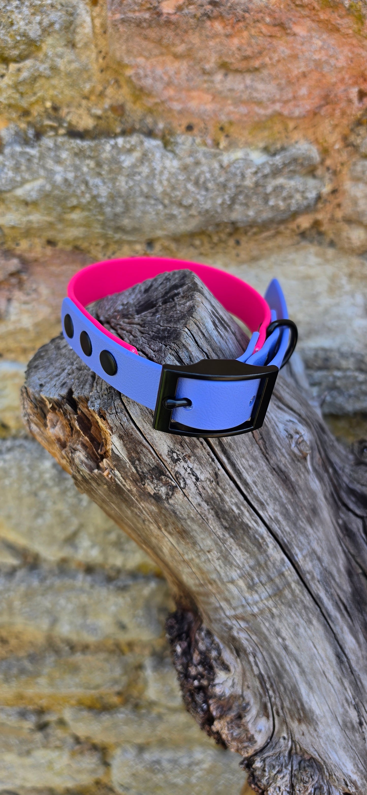 Passion Pink & Periwinkle - Waterproof BioThane© two-coloured Dog Collar