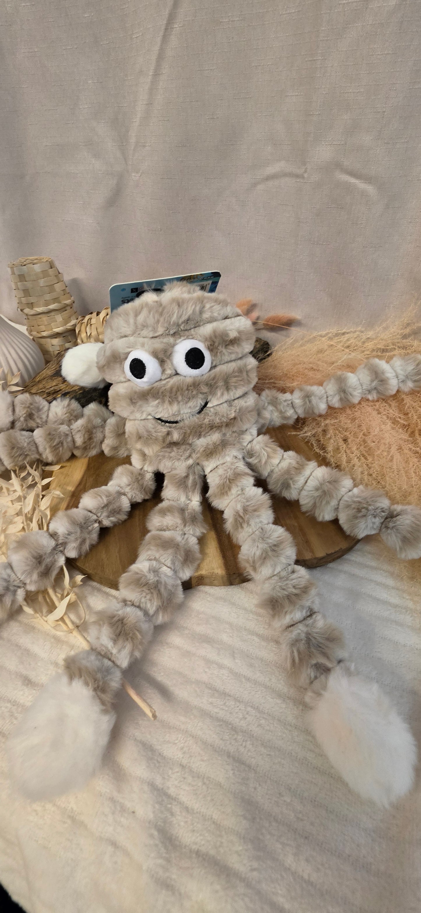 Mummy Octopus