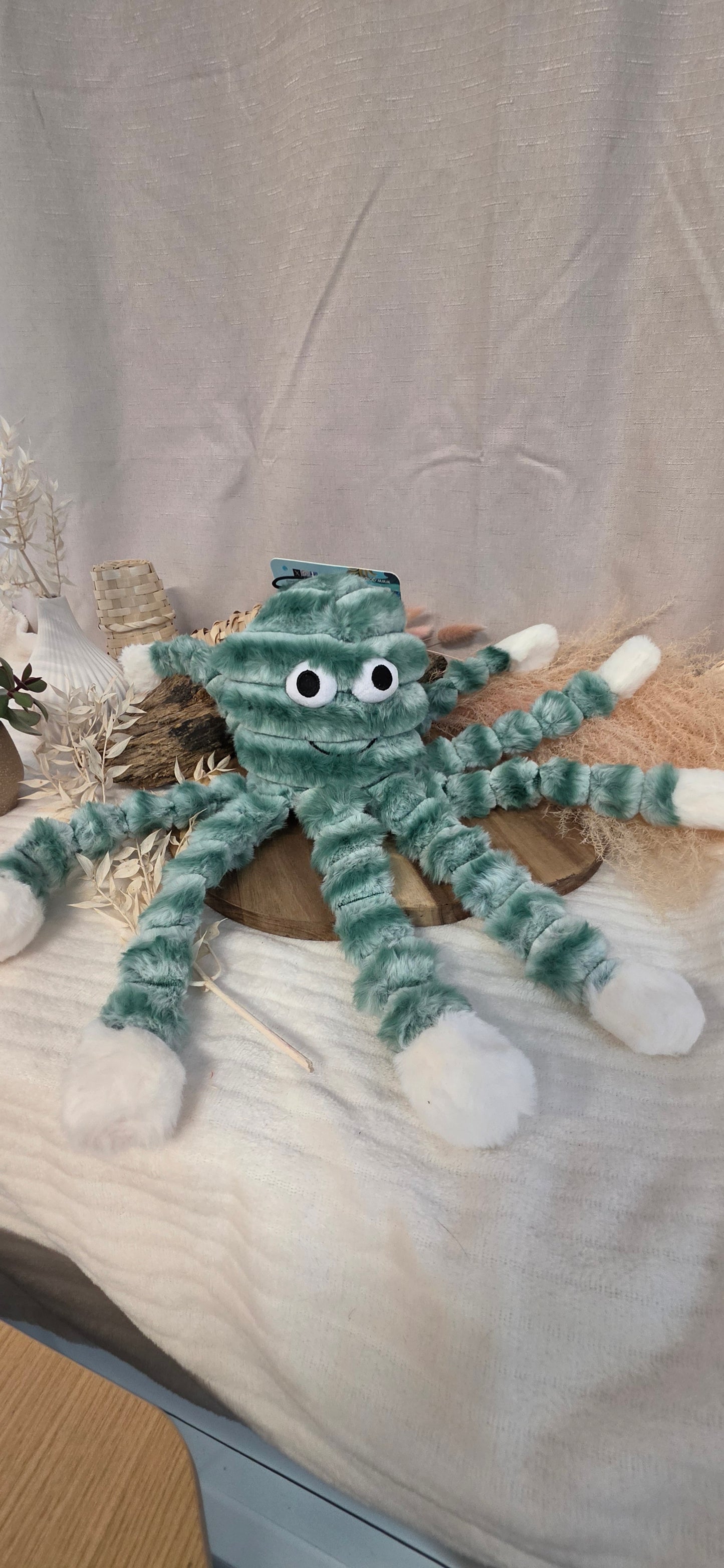 Mummy Octopus