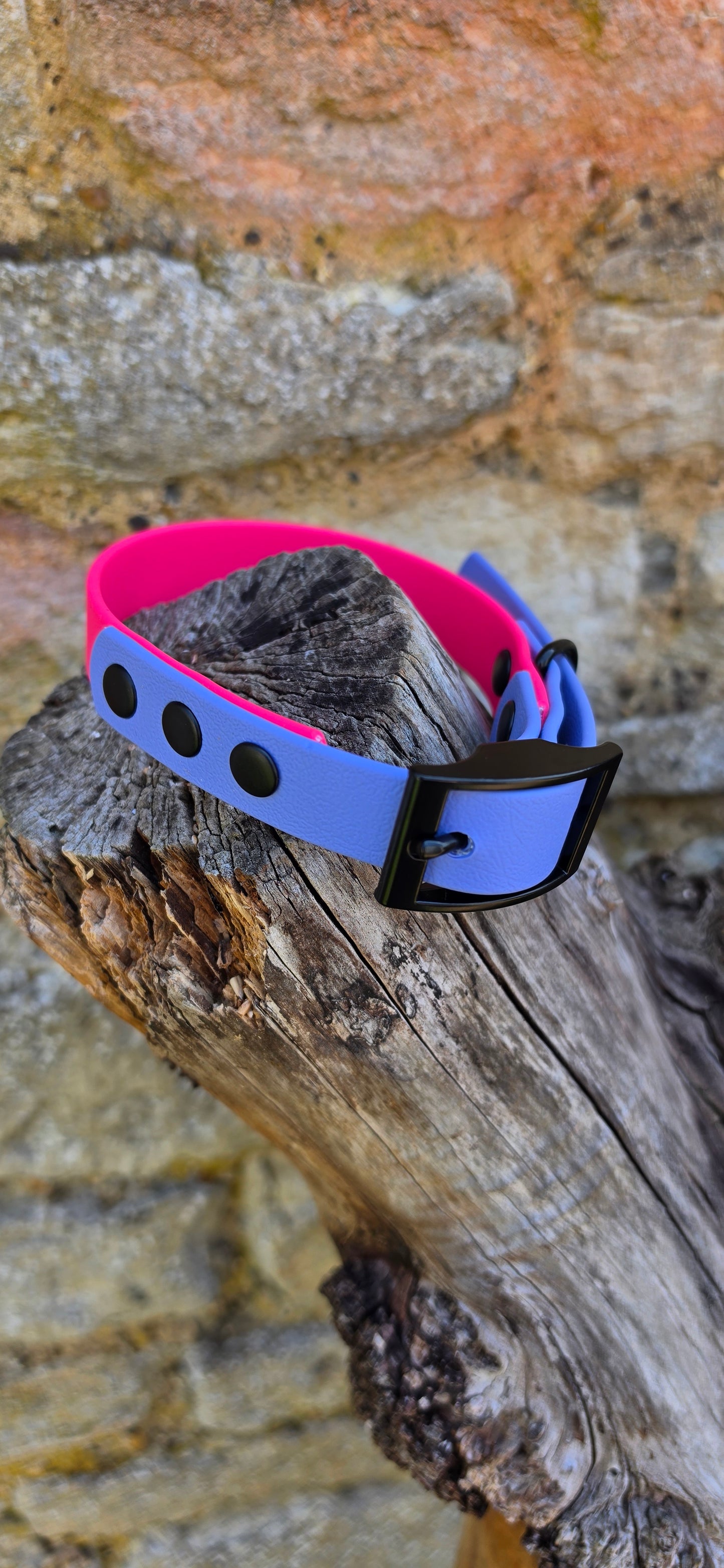 Passion Pink & Periwinkle - Waterproof BioThane© two-coloured Dog Collar