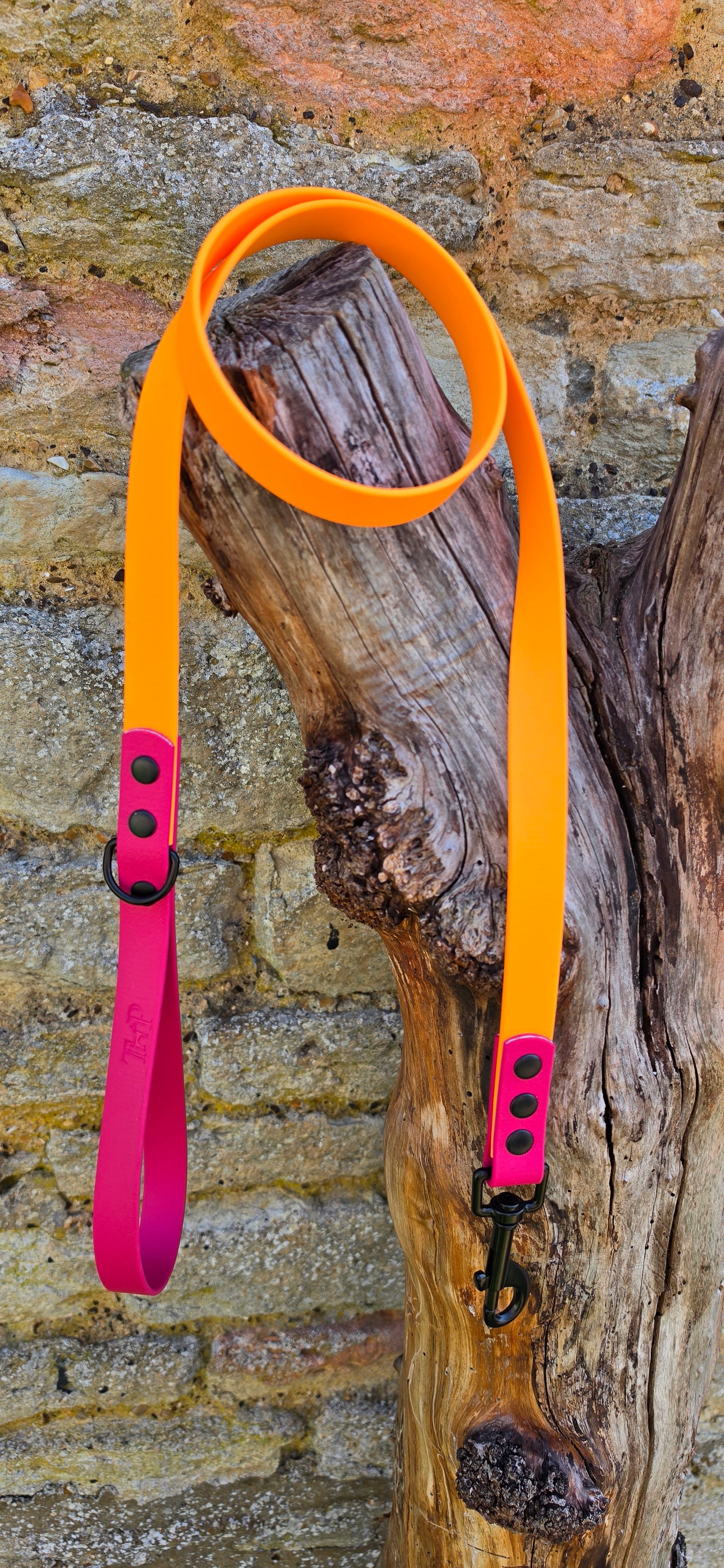 Orange & Magenta - Waterproof BioThane© Dog Lead