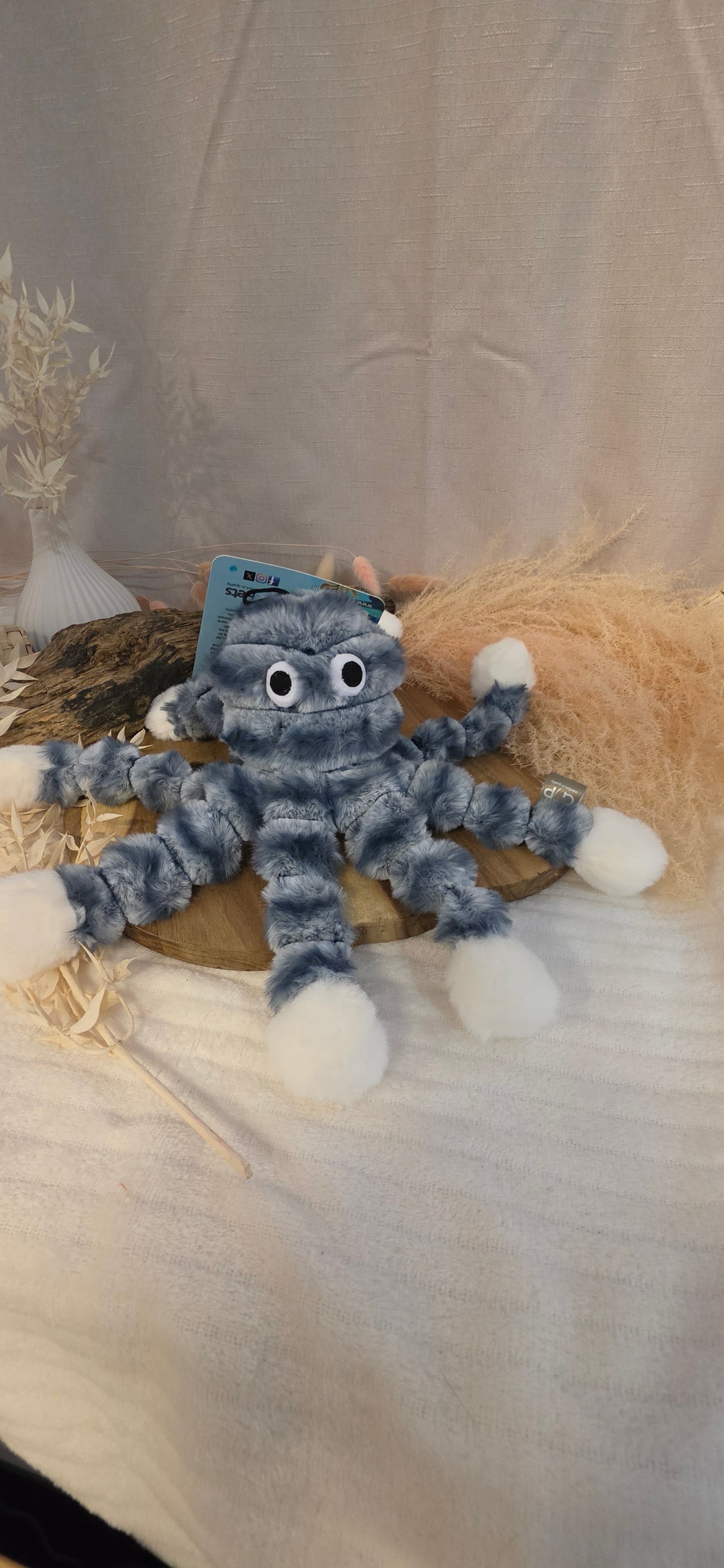 Baby Octopus