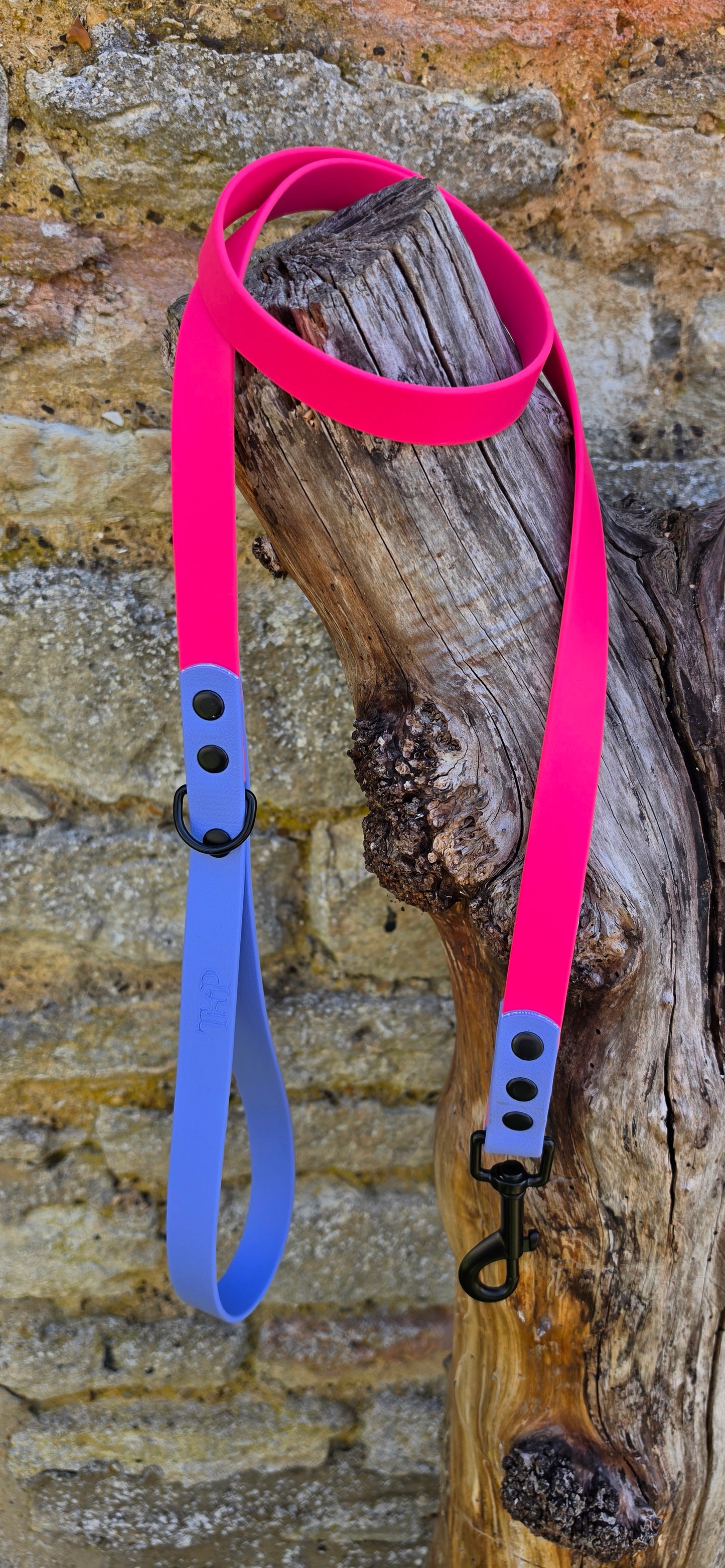 Passion Pink & Periwinkle - Waterproof BioThane© Dog Lead
