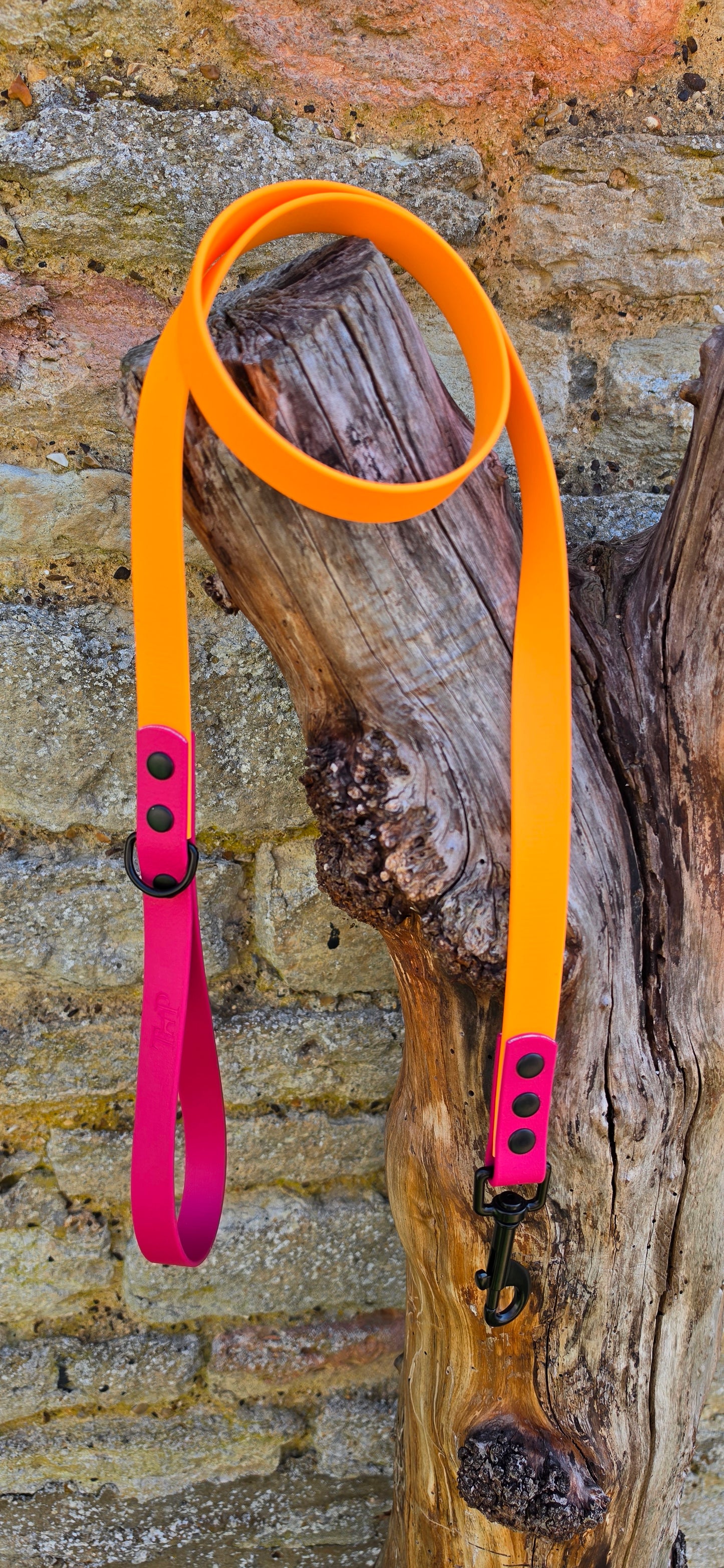 Orange & Magenta - Waterproof BioThane© Dog Lead