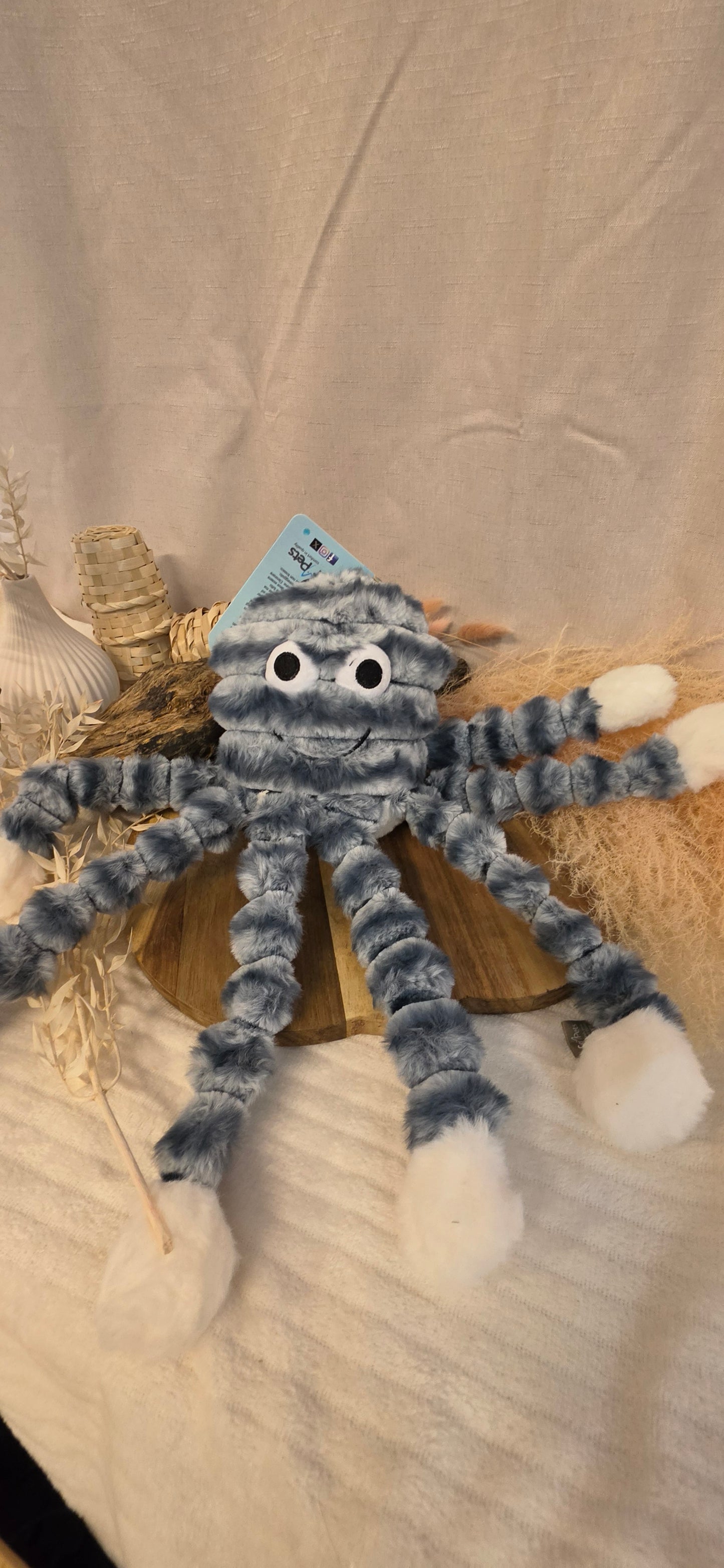 Mummy Octopus